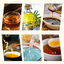 OliZen - Porta Azeite, Óleo e Vinagre com Spray Borrifador e Bico Dosador + Brinde Exclusivo - Entrega Grátis